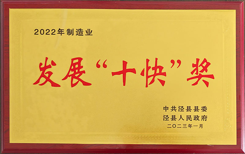 2022年制造業(yè)發(fā)展“十快”獎