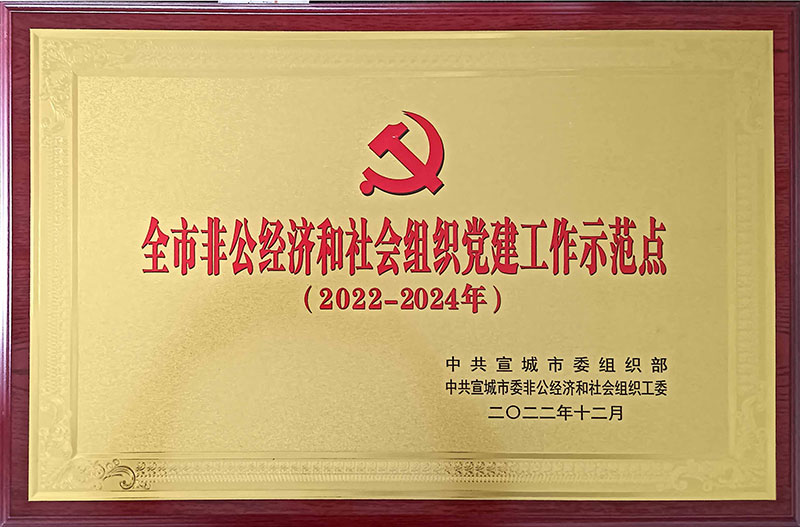 全市非公經(jīng)濟和社會組織黨建工作示范點